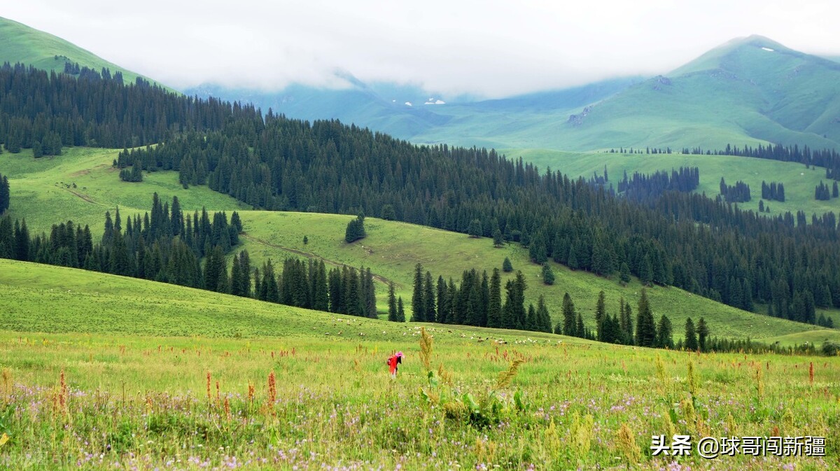 伊犁是一个幸福而烦恼的城市，究竟该侧重旅游还是工业？难以取舍