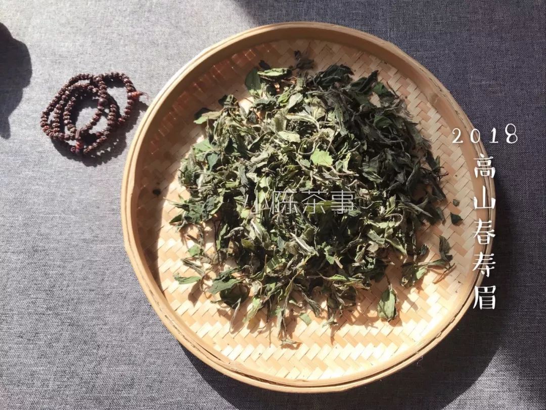 白茶怕水淹吗,白茶怕寒吗白茶怕高温吗