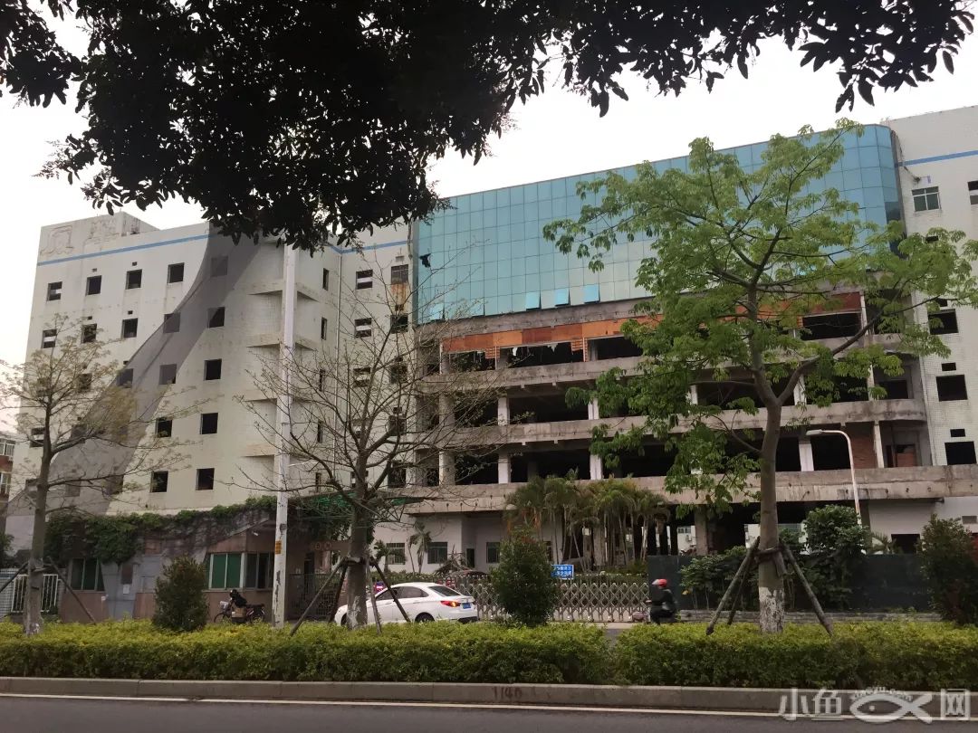 2.3亿！厦门人熟悉的厦华拍卖股份，昔日彩电霸主几度面临退市