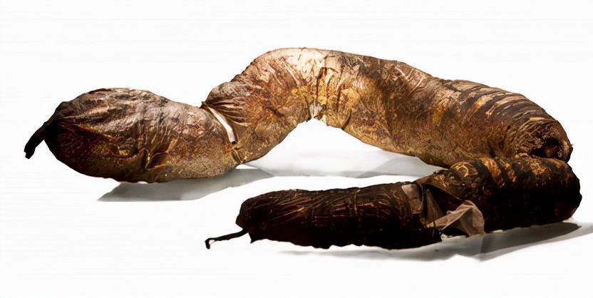 爱因斯坦的大脑在哪个博物馆,爱因斯坦的大脑为科学奉献一生