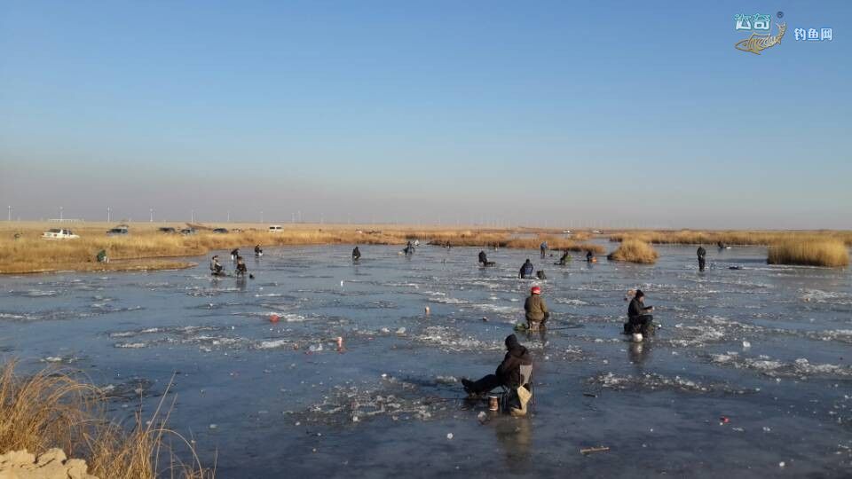 冰钓线组的正确方法图,冰钓如何施钓和必备的装备
