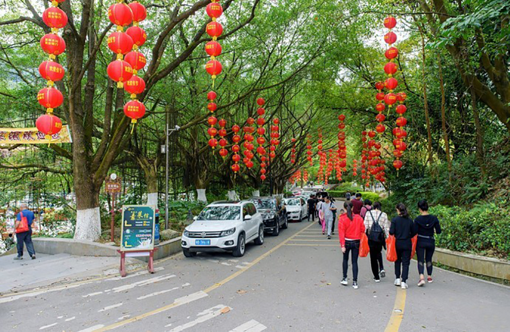 在深圳可不去世界之窗，但不可错过凤凰山森林公园，一览宝安景色