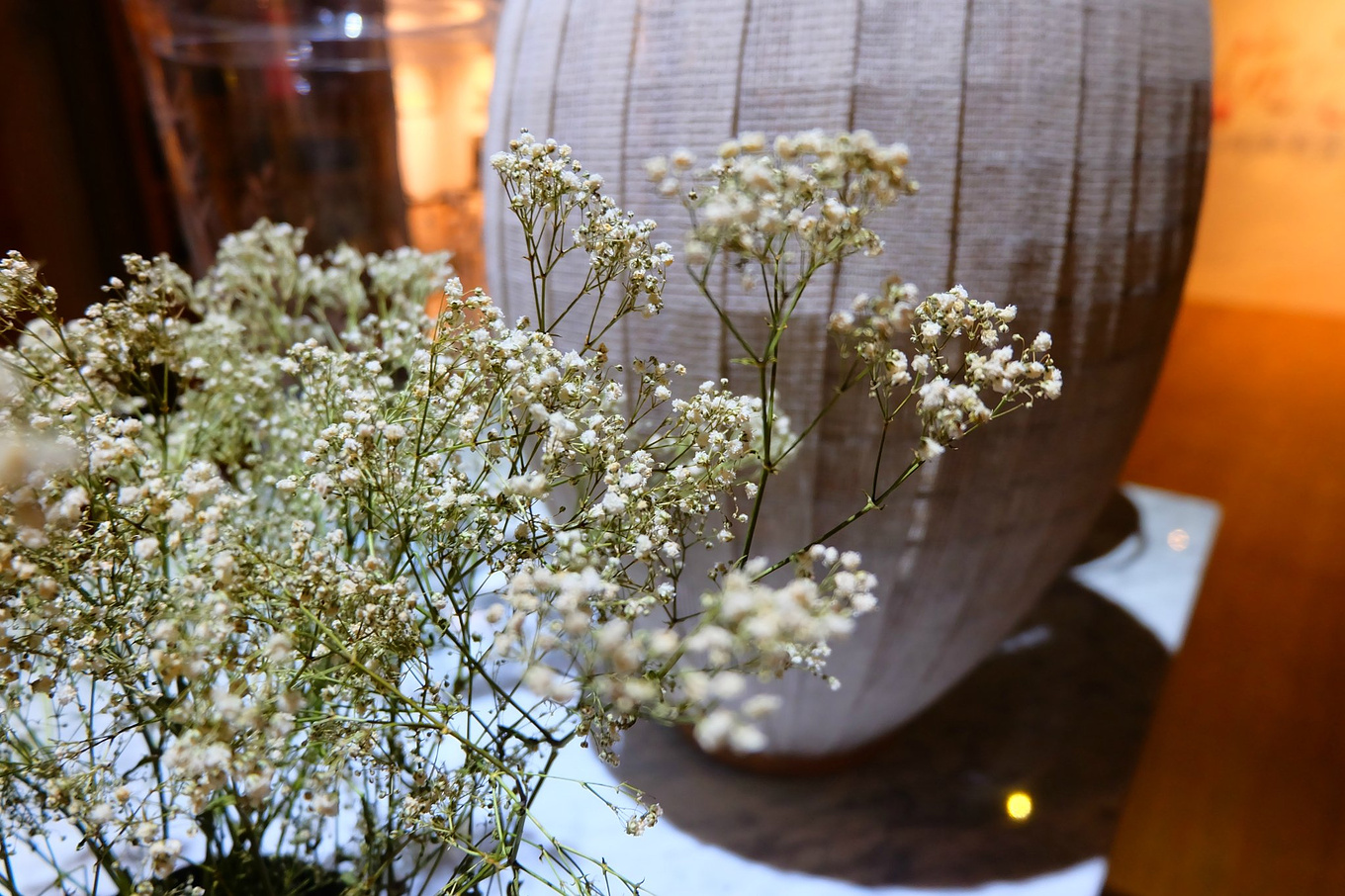 骆驼青岛,骆驼旅行在路上