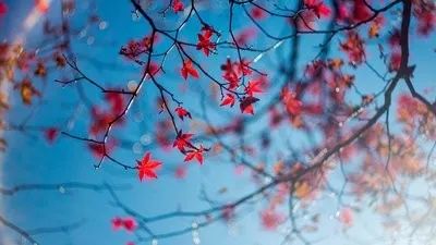 省政协原副主席陈光：虽只是个过客，却细细品尝了菏泽味道