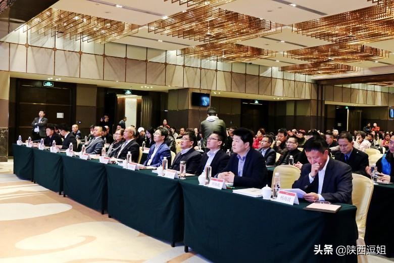 西安汉阴油菜花旅游攻略,安康看油菜花的最佳季节