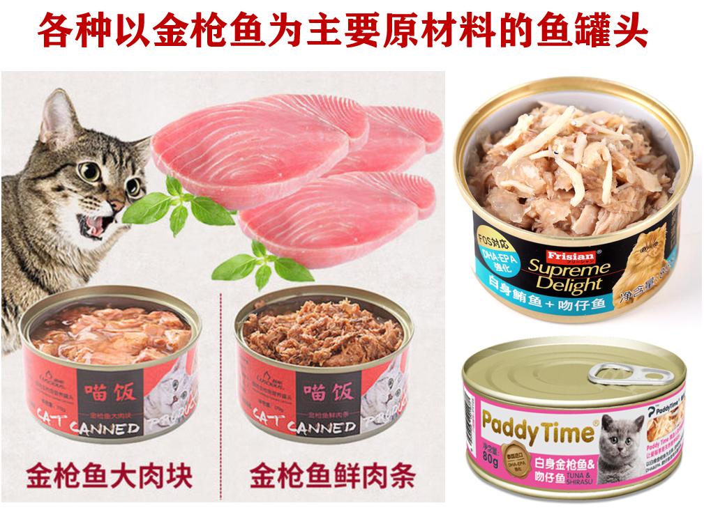 猫最喜欢吃的食物不是鱼吗,常吃猫粮的猫吃不得活鱼吗