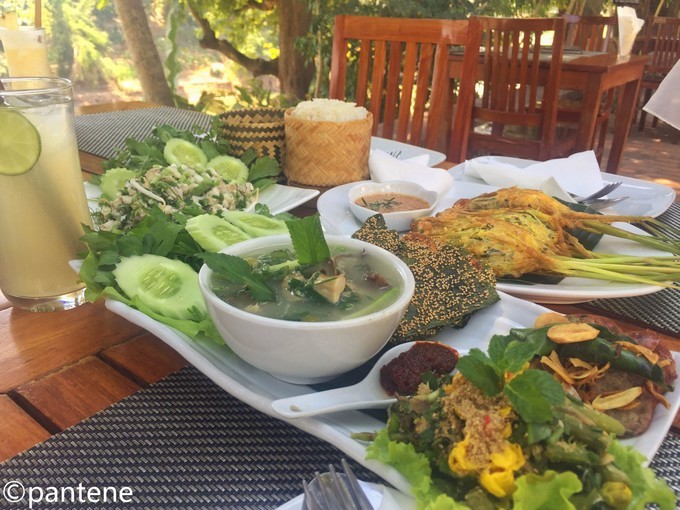 3月旅行最佳选择,3月旅行地点推荐亲子