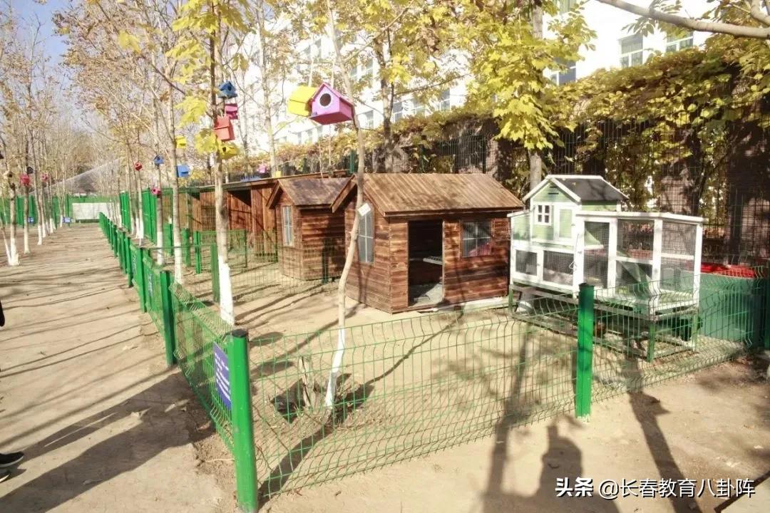 盘点长春中小学之“最”！看完后感觉自己白活了