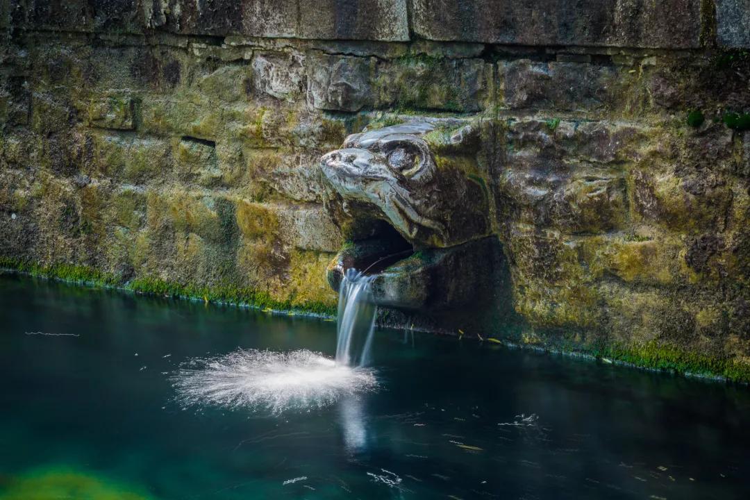 济南各区教育特点,济南哪个区教育最发达