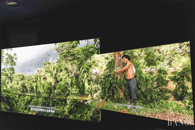 上海双年展导览,上海双年展2021