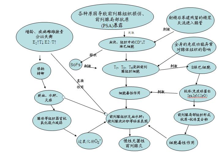 男科医疗对话,前列腺物理损伤