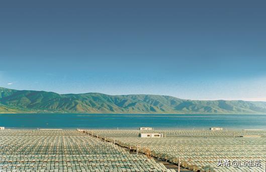 绿a螺旋藻中国有限公司,绿a天然螺旋藻片可以长期服用吗