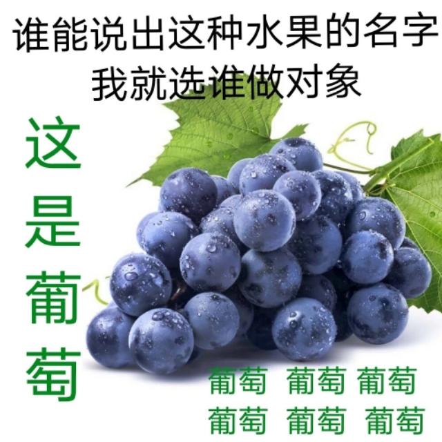 单身都是有原因的表情包,自曝单身求安排表情包