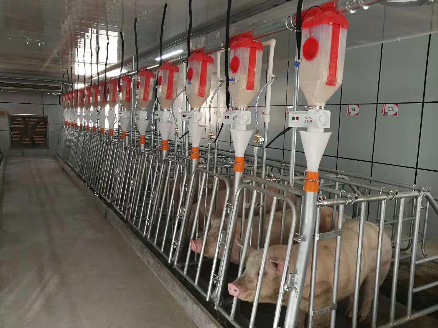 从京东金融到京东数科:1300亿的金融巨象如何“变形”?