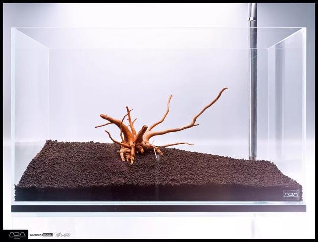 ada风格造景用什么底砂,鱼缸造景ada风格