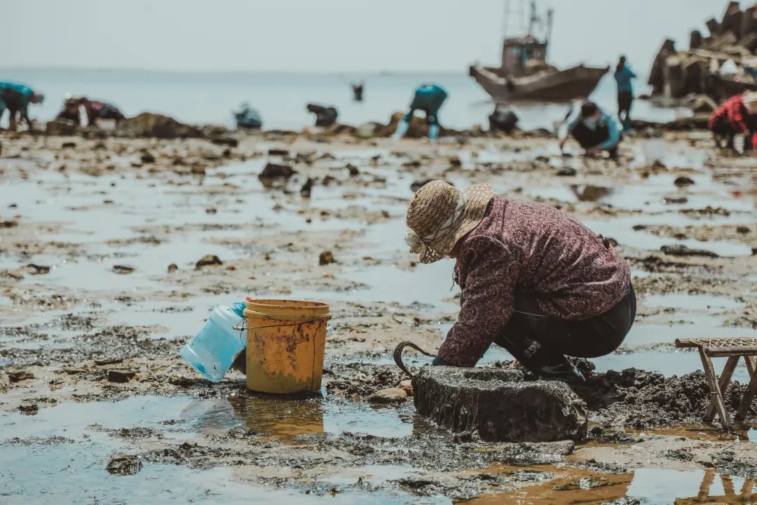 生活在海边的人皮肤特点,日照海边的魅力