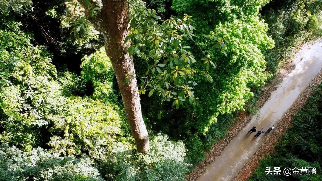 为什么云南女人长相好看,云南真的很漂亮吗