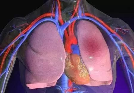 骨科专家说久坐不动的危害,久坐对骨科危害