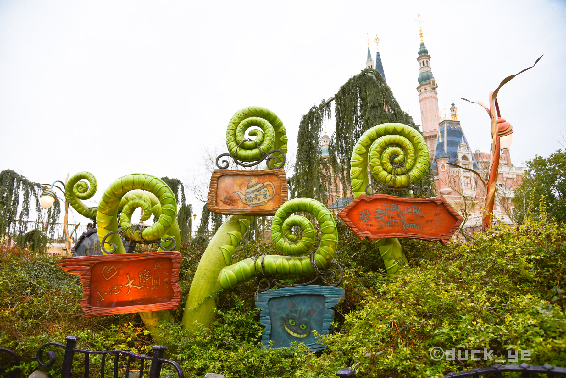 收好这篇攻略，佛系夫妻带你玩转上海迪士尼，选对时间至关重要