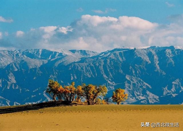 青海到底是哪里的,青海到底是一个怎样的地方