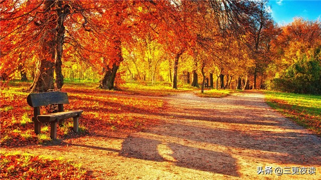 强势的人未必就有好结局,强势的人未必是强者全集