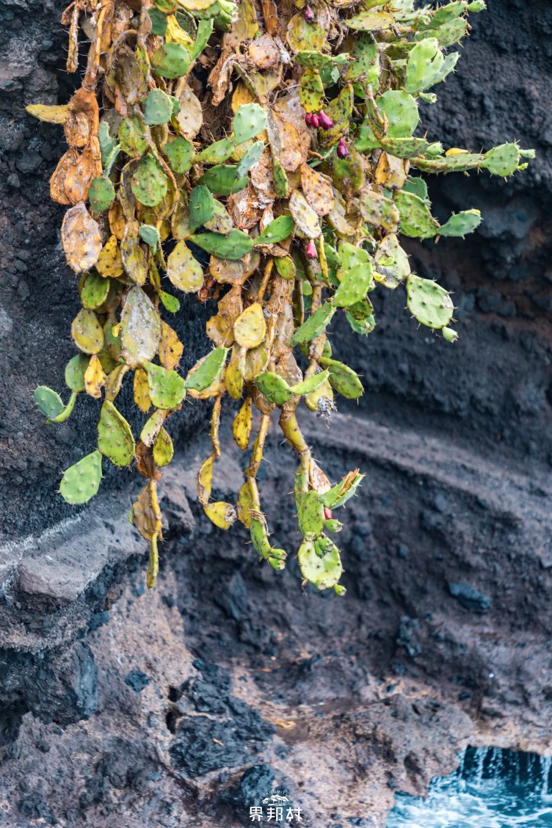 听说涠洲岛坑多真的如此吗,涠洲岛真的不值得去吗