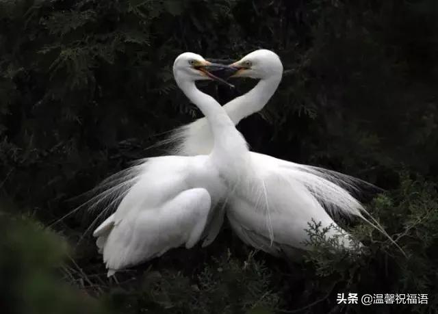 今天3月10，我的妈呀！谁编的，太好笑了，给群里乐一乐