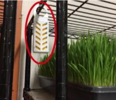 敌敌畏养海参事件概括,被曝光的敌敌畏海参现在如何了