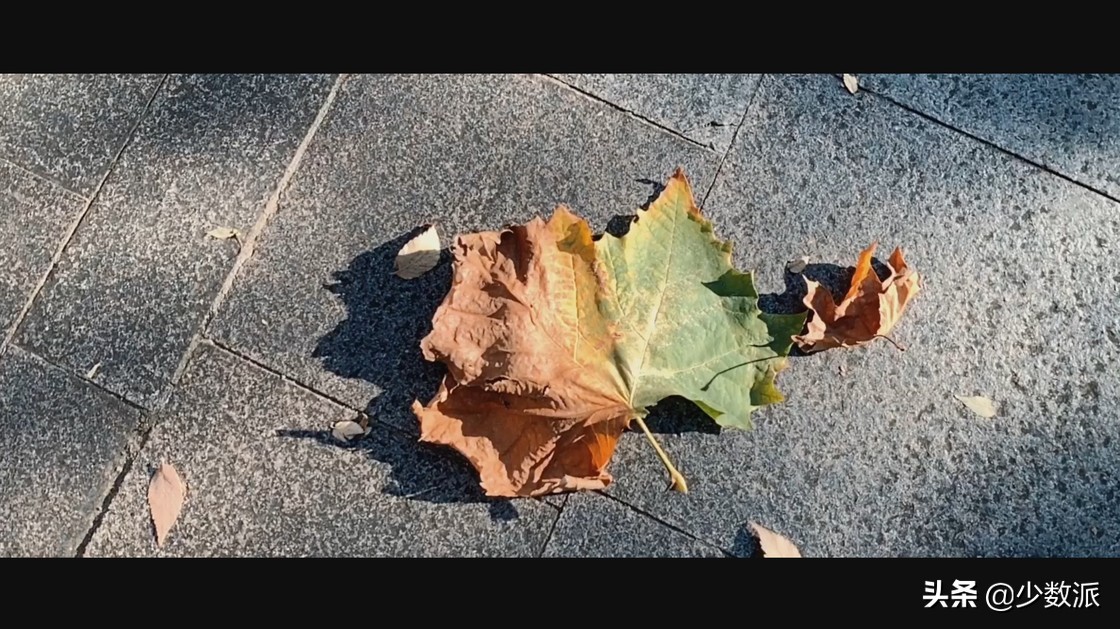 iPad是「无用的玩具」？用了一年，它为我打开了另一个世界