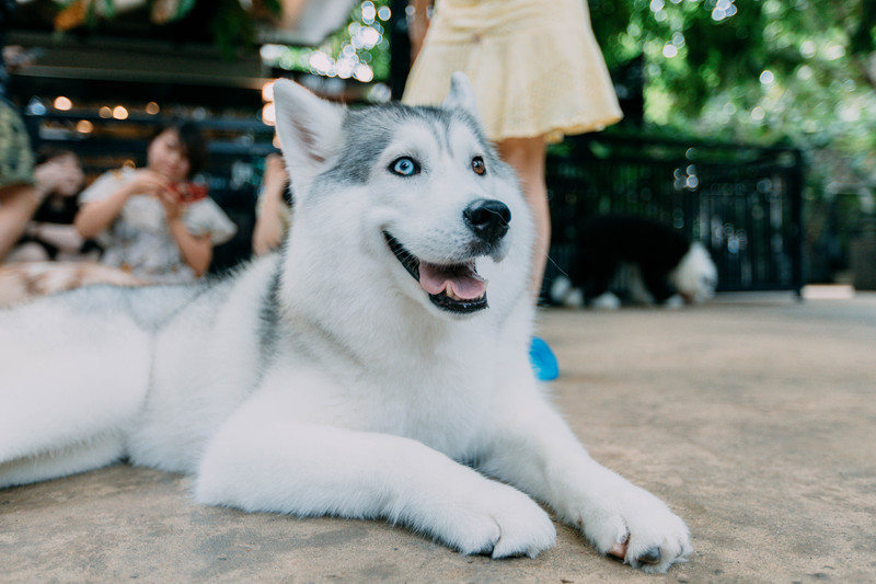 多次曼谷,整理了这份美食攻略,曼谷怎么吃,戳进来