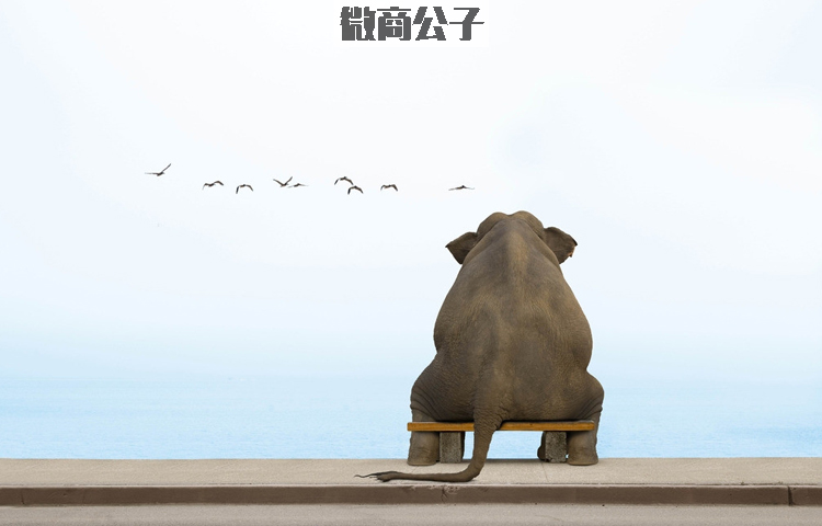 个人如何做好微商选品,微商选择产品的六个要点