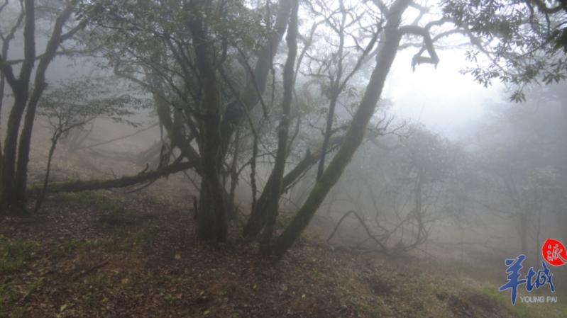 科学探秘未解之谜视频,科学探秘未解之谜