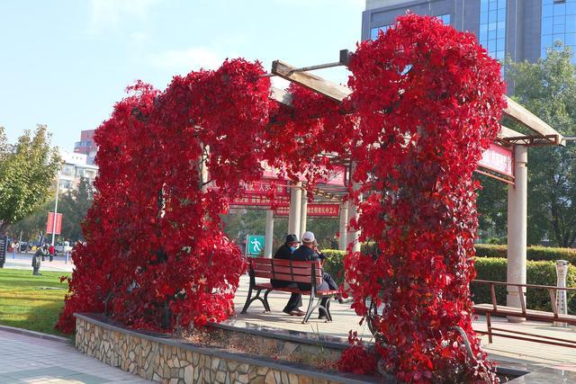 宁夏中卫旅游注意事项及时间表,宁夏中卫旅游攻略需要带什么