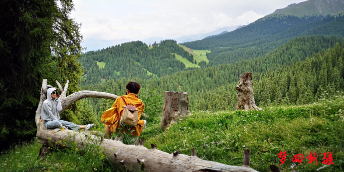 梦回新疆梦回拉萨,梦回伊宁草原视频