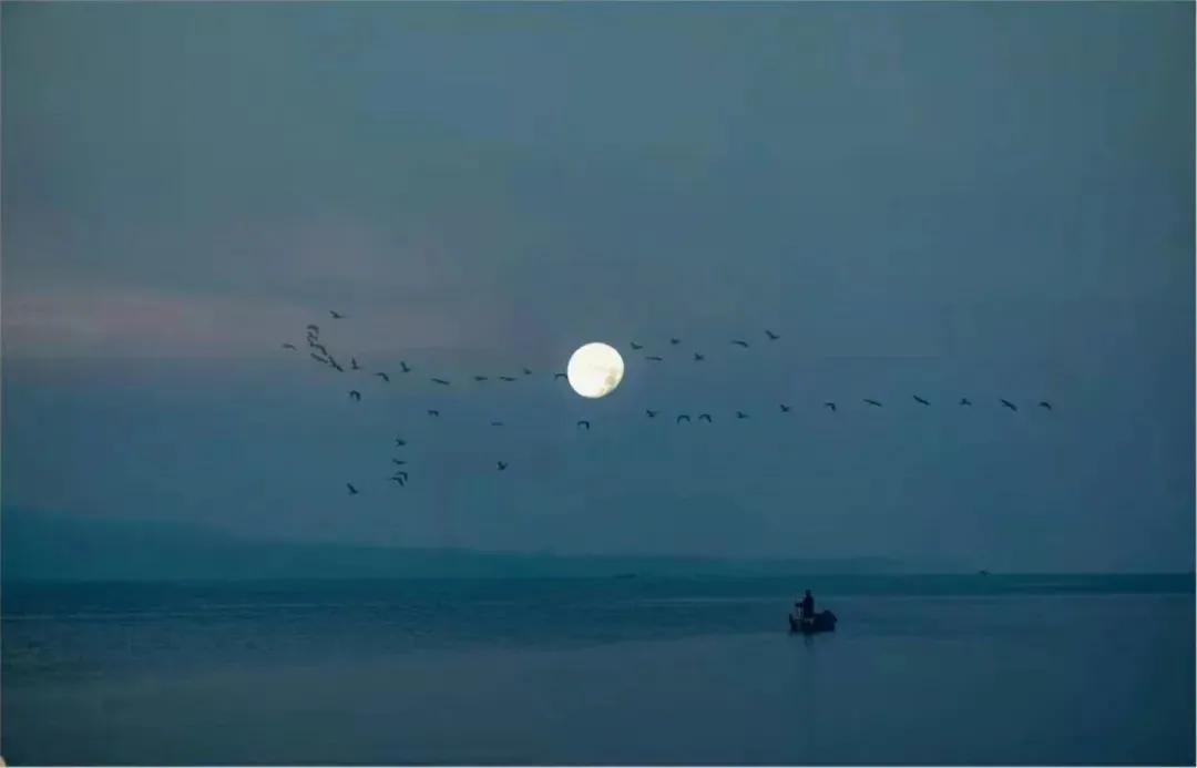 第二届中国摄影作品展,每周摄影作品展第二期