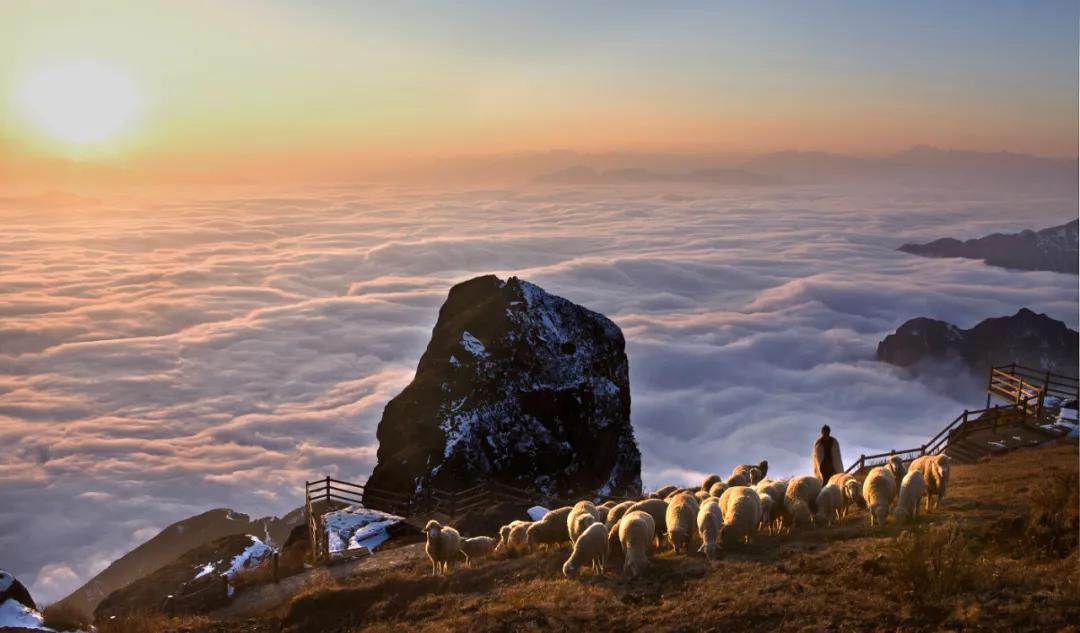 大山包风景区最新视频,太平国家森林公园有什么玩的