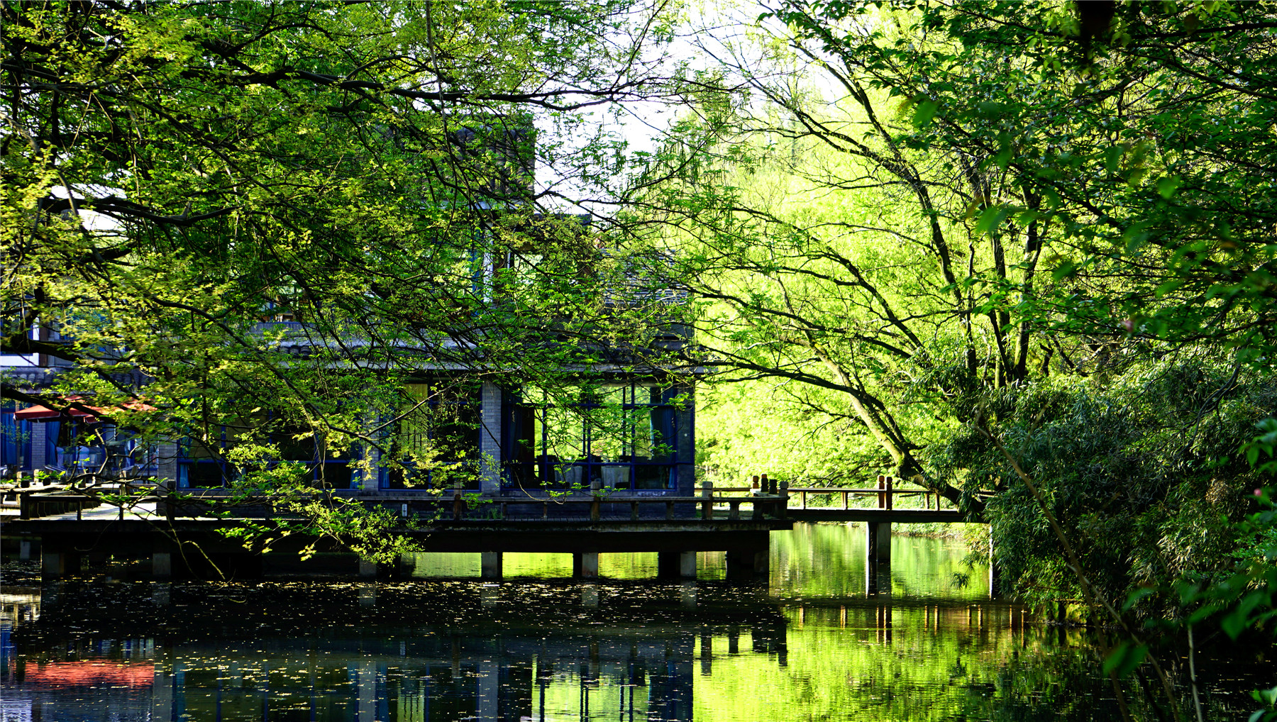 杭州西湖游玩攻略大全,杭州西湖最佳游玩攻略