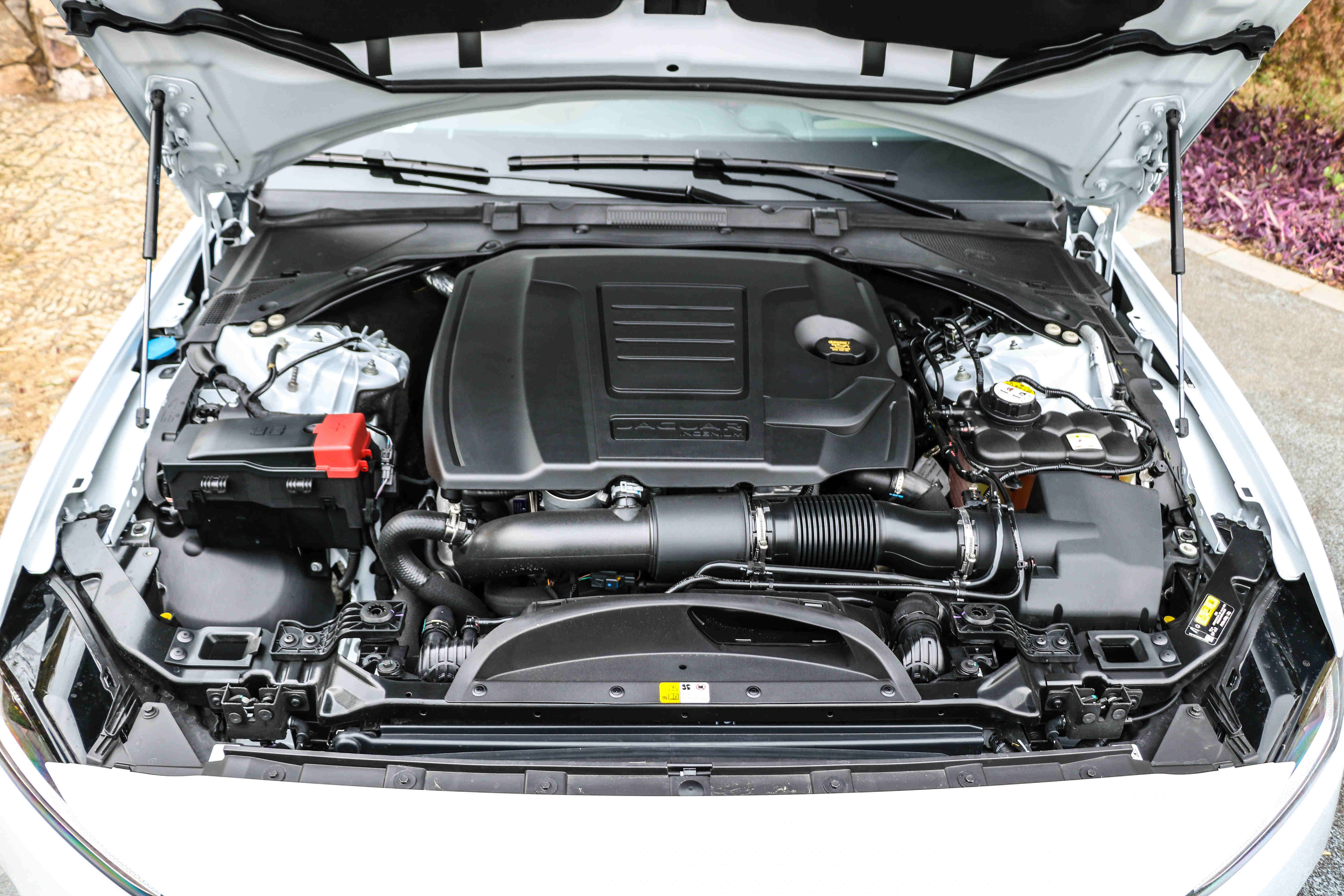 捷豹xel引擎实拍,捷豹xel英杰力哪款