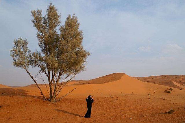 沙特阿拉伯有什么待遇,沙特王室每位成员待遇