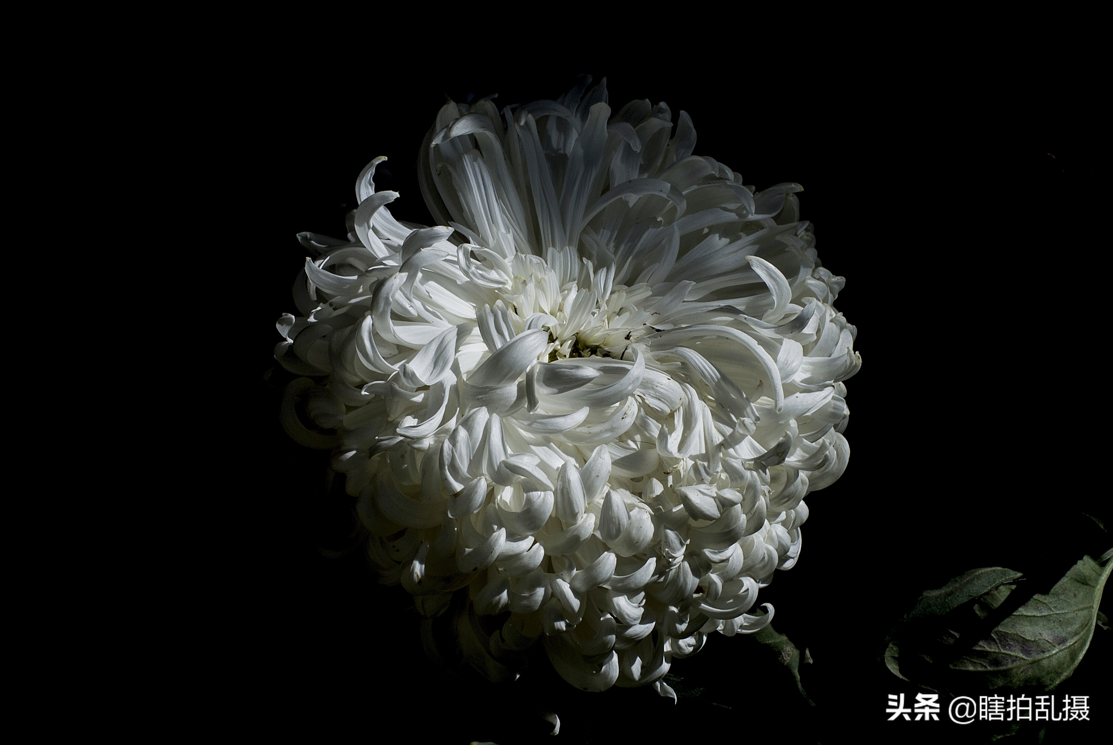 我的摄影器材大集合,最新入门单反相机推荐