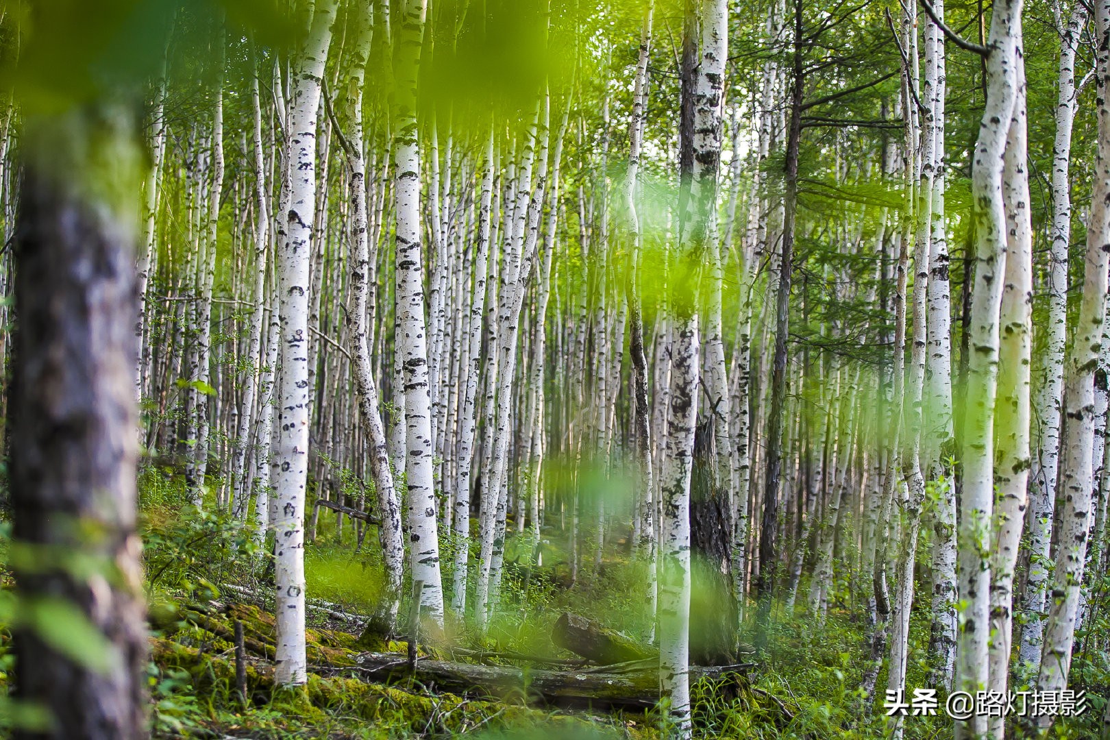 夏天凉快又好玩的旅游景点,避暑胜地夏天特别凉爽