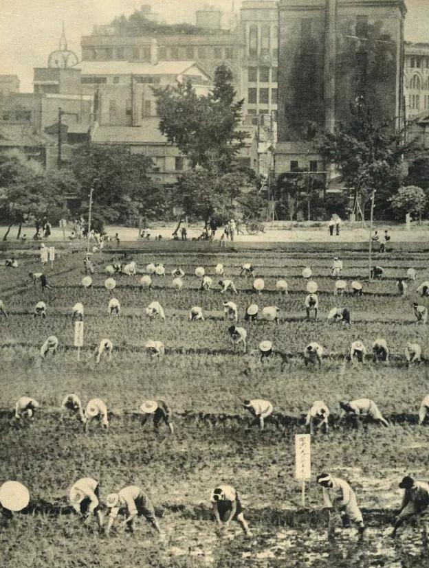 战火中的日本人有多惨？小学生都要当苦力