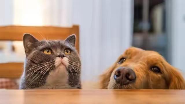 月入8万的暴利行业一般人干不了,2019暴利行业排行