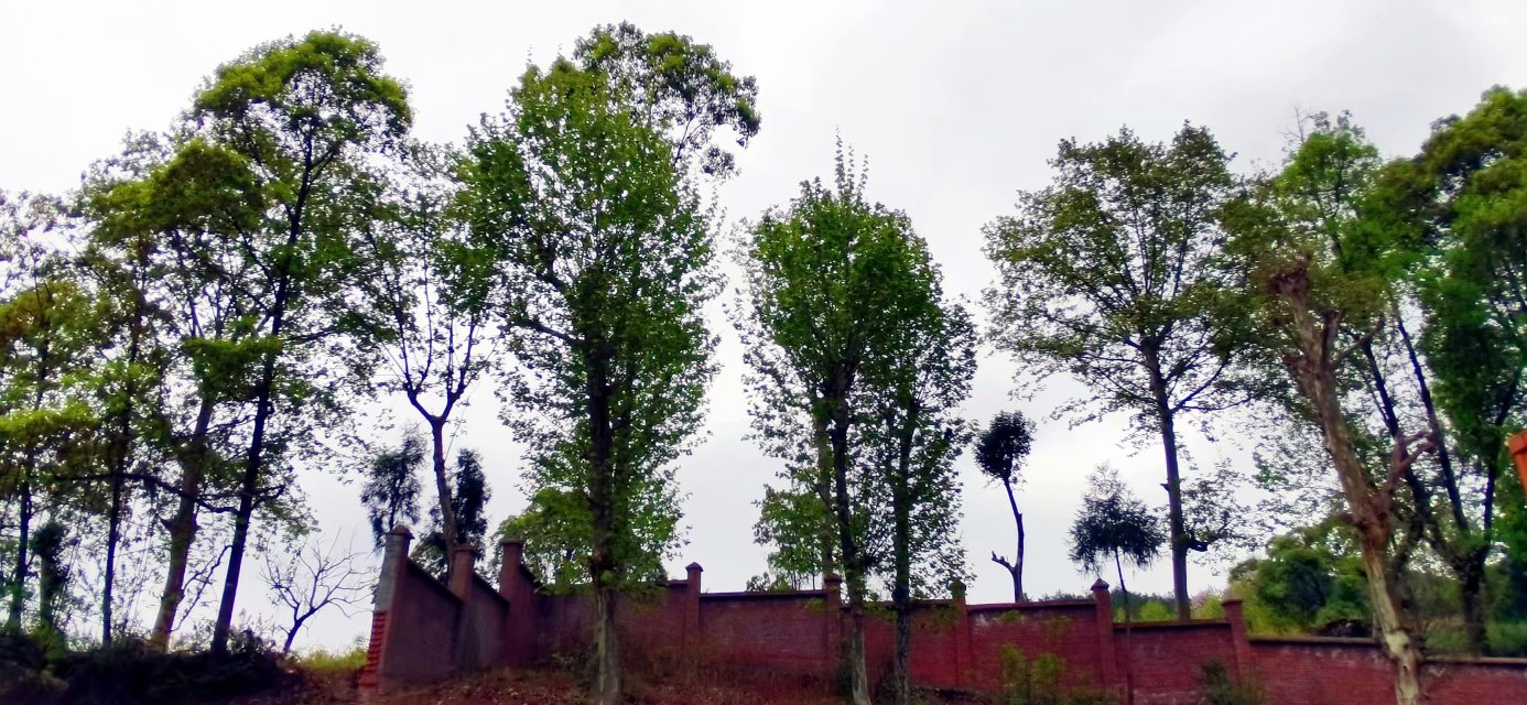 记忆中的821厂,821厂解密