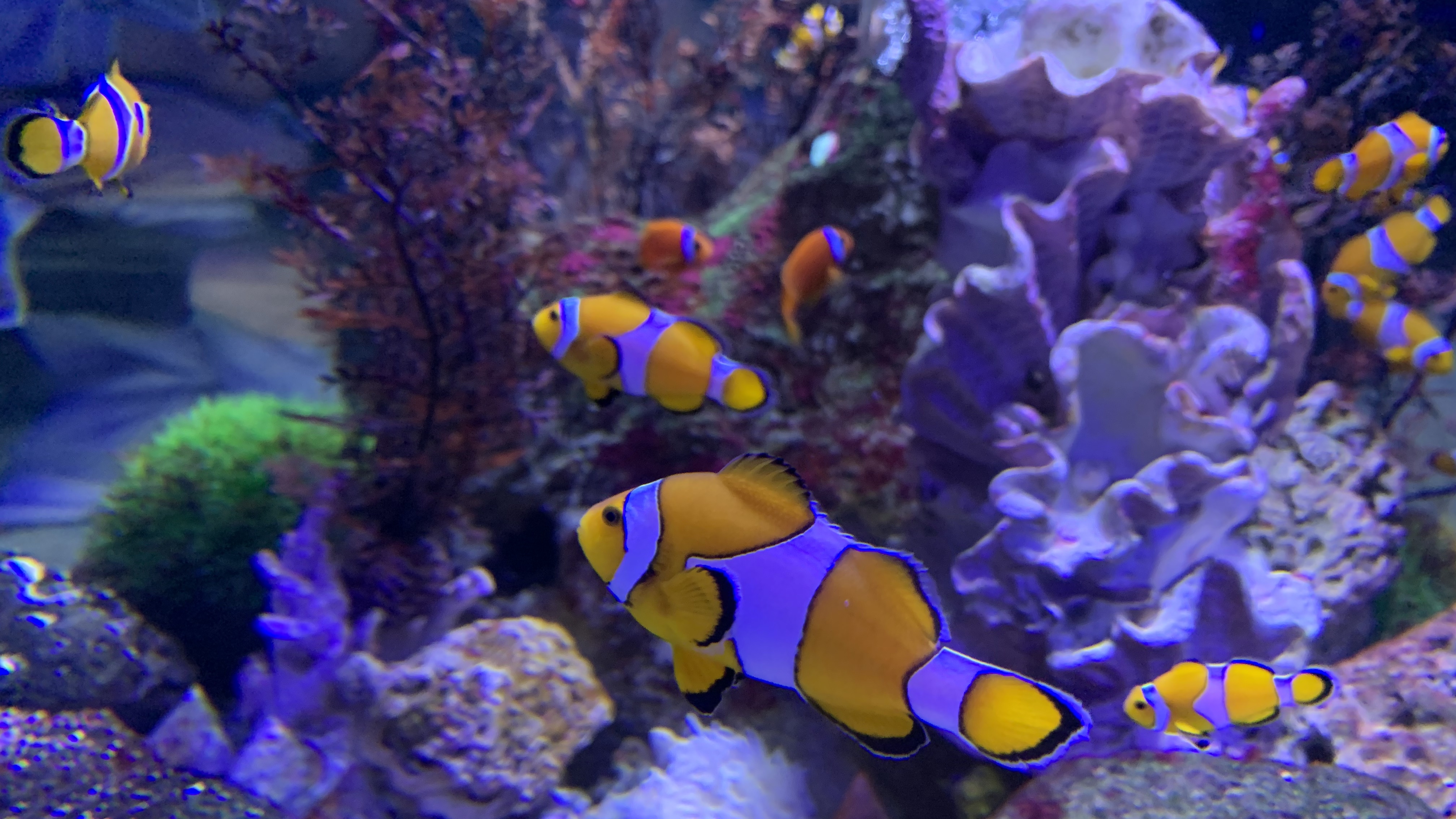 北京富国海底世界周围景点,工体富国海底世界游览攻略