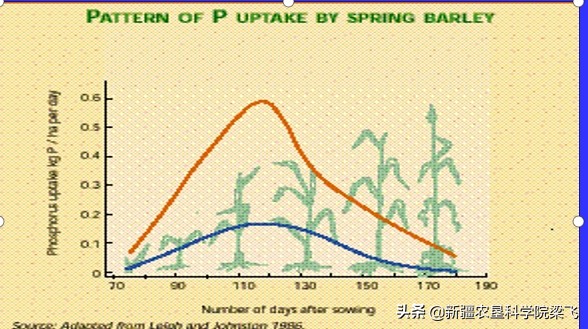 什么能化解土壤里的磷肥,磷肥怎样不板结