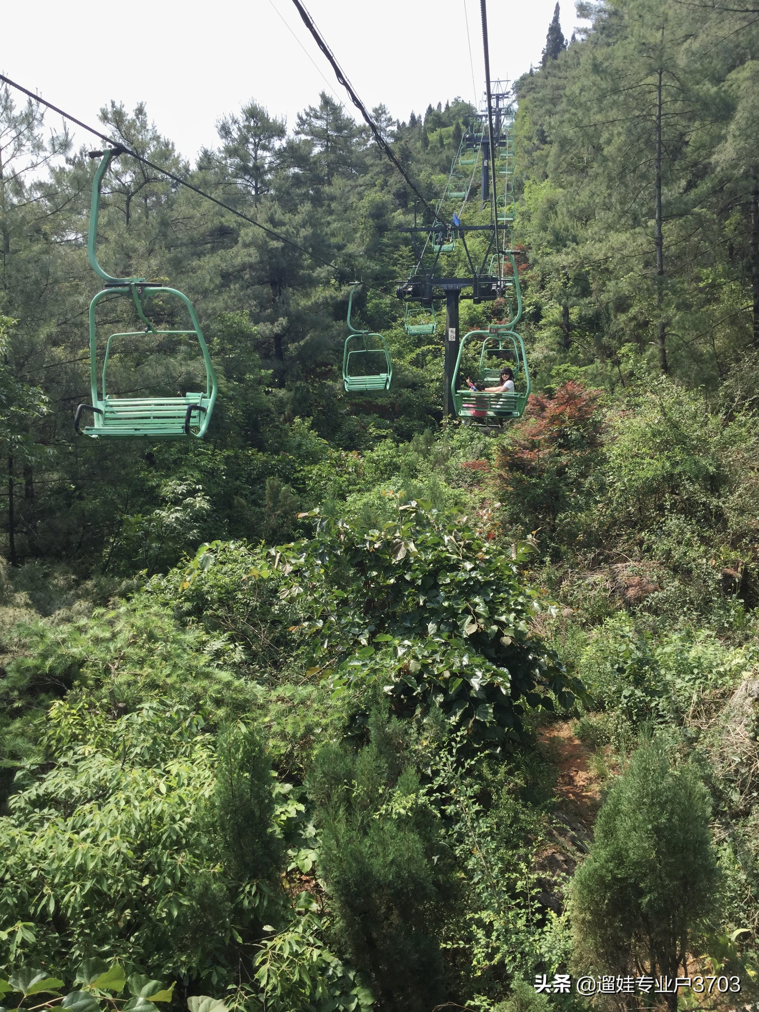 从茶马花街到西山龙门的旅游路线,西山森林公园旅游攻略一日游价格