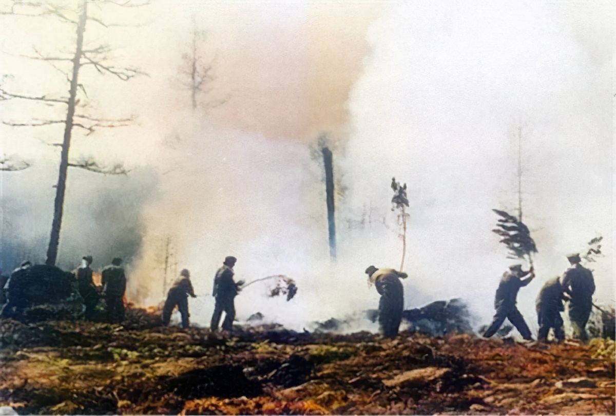 一九八七大火灾原因,回望火灾