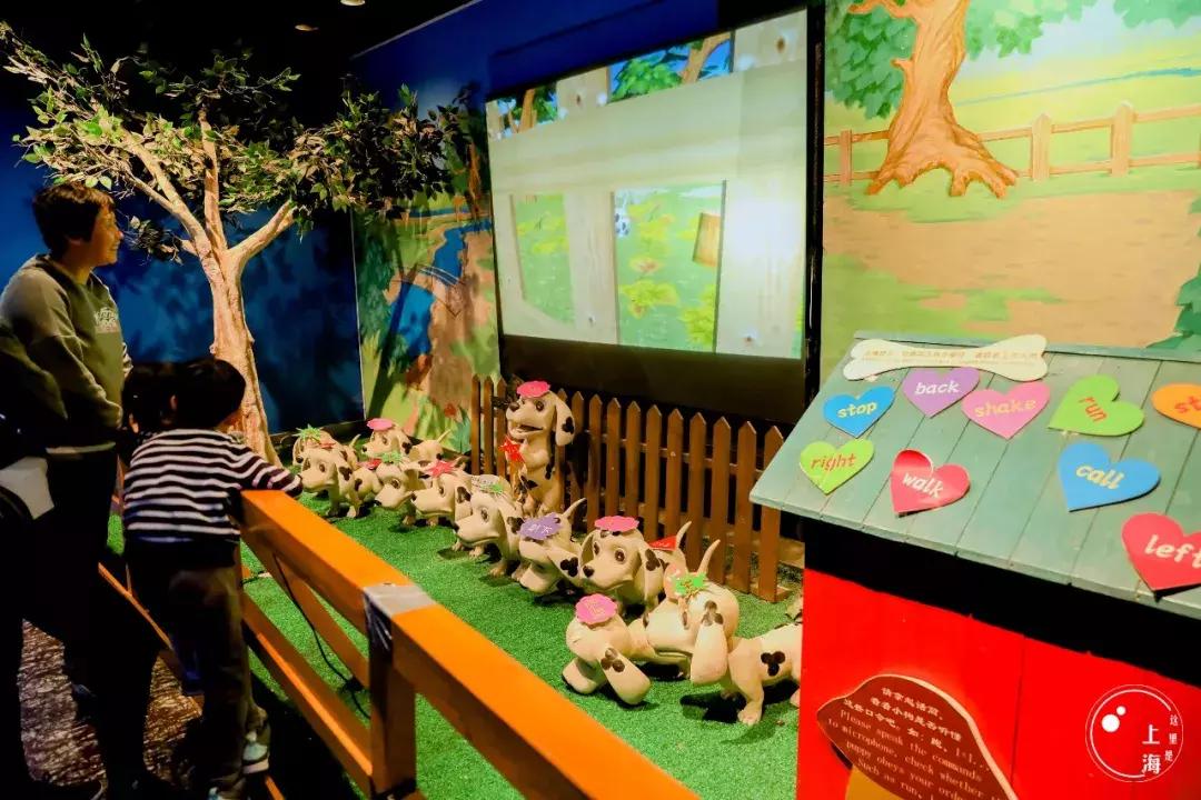 整个上海都是繁华的吗,上海一座美丽的魔都