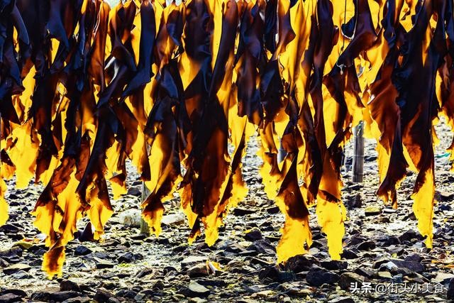 买海带选什么样的最好,买海带丝的技巧